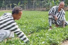 'Ông trùm' giang hồ Hải 'bánh' (kỳ cuối): Tiếc cho 1 con người tài hoa
