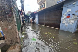 Hà Nội: Mưa lớn khiến nhiều tuyến phố ngập, cây đổ đè ô tô