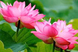  Đừng bao giờ nói bốn điều này với bạn bè