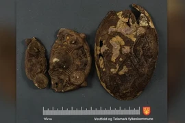Tìm bông tai, suýt ngất khi đụng trúng kho báu Viking 1.200 tuổi 