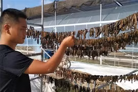 Loài động vật ở Trung Quốc xem là “vàng mềm": Việt Nam không thiếu! 