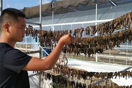 Loài động vật ở Trung Quốc xem là “vàng mềm": Việt Nam không thiếu! 