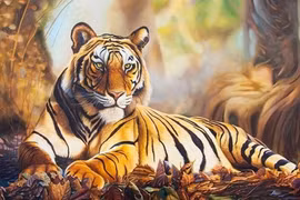 Hổ dữ có phản ứng kỳ lạ khi phát hiện người phụ nữ mang thai