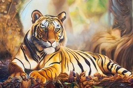 Hổ dữ có phản ứng kỳ lạ khi phát hiện người phụ nữ mang thai