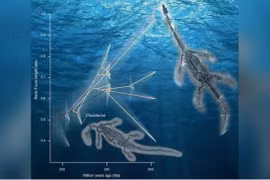 Giải mã quái vật biển cổ đại mọc cổ dài siêu nhanh
