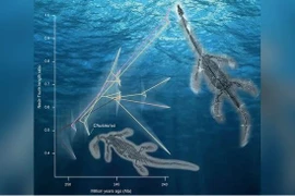 Giải mã quái vật biển cổ đại mọc cổ dài siêu nhanh