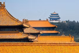 Tại sao mái nhà Tử Cấm Thành không bao giờ xuất hiện cỏ dại?