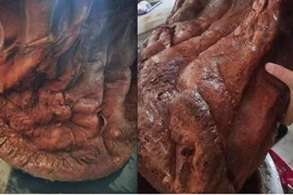 Mang khúc gỗ đỏ về nhà, ai ngờ là 'báu vật'