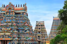 Dọn bãi đất hoang, vô tình phát hiện “kho báu” khủng bị chôn sâu dưới đất