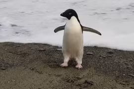 Top sự thật ít biết về thế giới, nghe xong ai cũng giật mình 