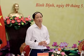 Chủ tịch Bình Định: Tình trạng xây dựng công trình trái phép vẫn còn phức tạp