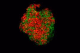 Phát hiện chấn động về “thế giới trong lòng đất”: Khác xa với tưởng tượng! 