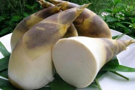 Ăn măng xanh mùa hè có thể hạ mỡ máu, thúc đẩy nhu động ruột 