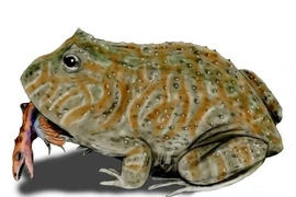 Ngộp thở với 8 “quái vật” đồ sộ nhất từng tung hoành trên Trái Đất