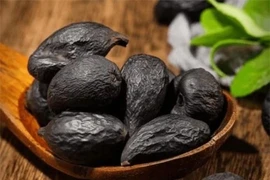 Kỳ bí loại nấm như quả trứng đen