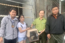 Người dân TP HCM bàn giao rái cá quý hiếm: Loài có trong Sách Đỏ