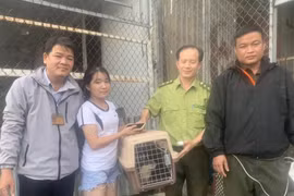 Người dân TP HCM bàn giao rái cá quý hiếm: Loài có trong Sách Đỏ