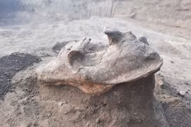 Khai quật mộ cổ 2.000 tuổi, sững người thấy quái thú “trấn yểm”