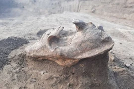 Khai quật mộ cổ 2.000 tuổi, sững người thấy quái thú “trấn yểm”