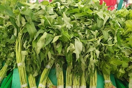 Loại rau rẻ như bèo ở Việt Nam, sang Mỹ giá gấp hàng chục lần 