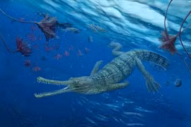 Lộ diện quái vật ăn thịt kỷ Jura có nguồn gốc “tổ tiên ma" 