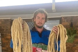 Kiểm tra gác mái, thanh niên sốc nặng khi phát hiện ra thứ kinh dị