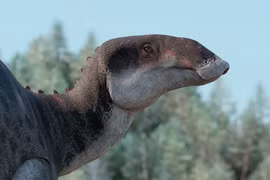 Phát hiện hoá thạch quái thú 72 triệu năm trước, chuyên gia đau đầu