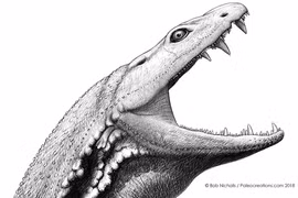 Trước khi có khủng long, “nòng nọc sát thủ” nào khủng bố Trái đất? 