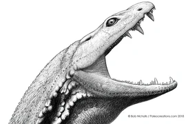 Trước khi có khủng long, “nòng nọc sát thủ” nào khủng bố Trái đất? 