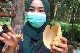 Phát hiện ngọc quý khi nấu ăn, người phụ nữ đổi đời trong nháy mắt