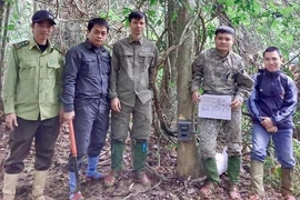 Đặt “bẫy ảnh”, bất ngờ phát hiện động vật siêu hiếm tại VQG Vũ Quang