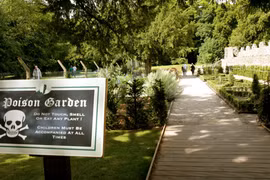 Kỳ lạ khu vườn chỉ cần chạm vào 1 chiếc lá có thể... tử vong