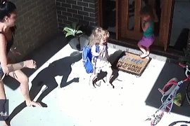 Mẹ phản ứng cực nhanh, cứu con thoát khỏi rắn độc trong gang tấc