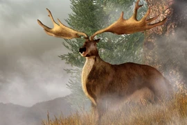 Chiêm ngưỡng bộ ba động vật tuyệt vời nhất thế gian đã bị tuyệt chủng