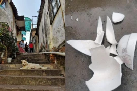 Ra ngoài gặp 5 điều dù không có tai họa cũng sẽ gặp tai họa