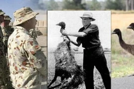 Top sự thật bất ngờ “bẻ cong” thế giới quan bấy lâu nay của bạn