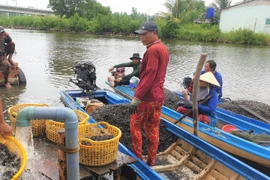 Ngâm mình hàng giờ bắt con hai mảnh dưới sông