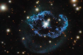 Giật mình vật thể khiến chuyên gia hoang mang “lạc đường” suốt 18 năm