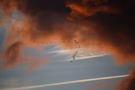 8 điều kỳ bí nhất lịch sử, thách đố cả thiên tài 