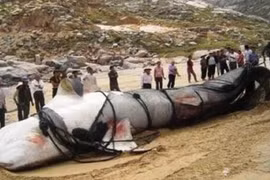 Rùng rợn “thủy quái” huyền bí nhất Trung Quốc: Không ai dám đến gần! 