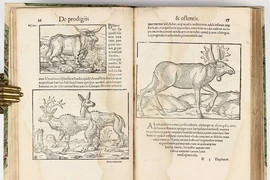 Nhũn não với những cuốn sách bí ẩn nhất mọi thời đại