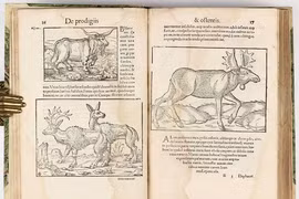 Nhũn não với những cuốn sách bí ẩn nhất mọi thời đại