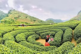 Loạt điểm đến đẹp nhất Việt Nam giành Giải thưởng Du lịch Thế giới 2023