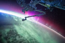 Xiêu lòng khoảnh khắc “độc nhất vô nhị” bạn chưa từng chứng kiến trong đời