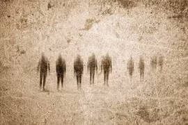 Kinh ngạc bằng chứng sống: Chúng ta là con lai của “loài người ma“