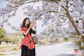 Về Điện Biên ngắm hoa ban nở, hòa mình vào lễ hội vùng cao