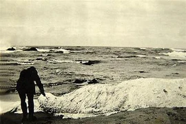 Bộ ba thủy quái bí ẩn nhất mọi thời đại khiến chuyên gia “rối não” 