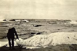 Bộ ba thủy quái bí ẩn nhất mọi thời đại khiến chuyên gia “rối não” 