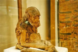 Phát hiện xác ướp không phải con người, lộ sự thật vùng đất huyền thoại 