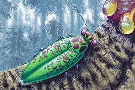 Bất ngờ quái vật cổ đại hiện về nguyên vẹn trong khối hổ phách